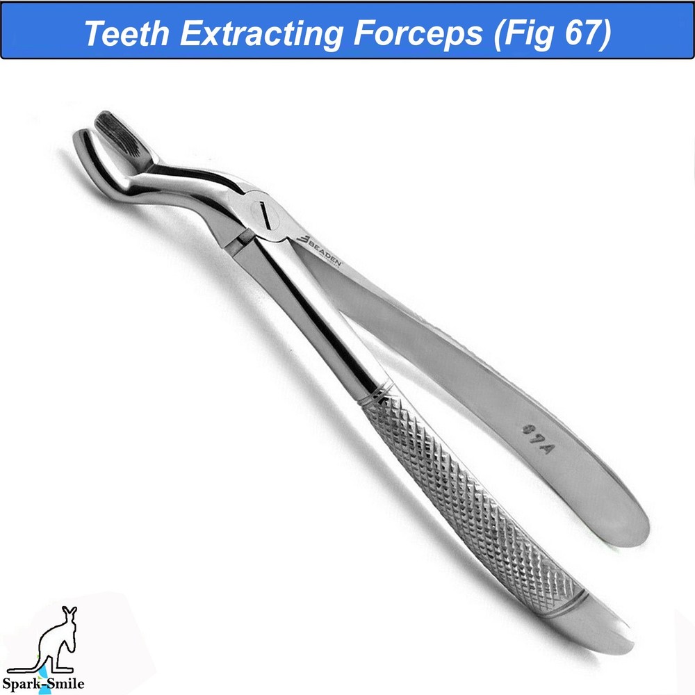 Surgical Tooth Extraction Upper Wisdom Forceps Fig-67 Dental Extracting Pliers
