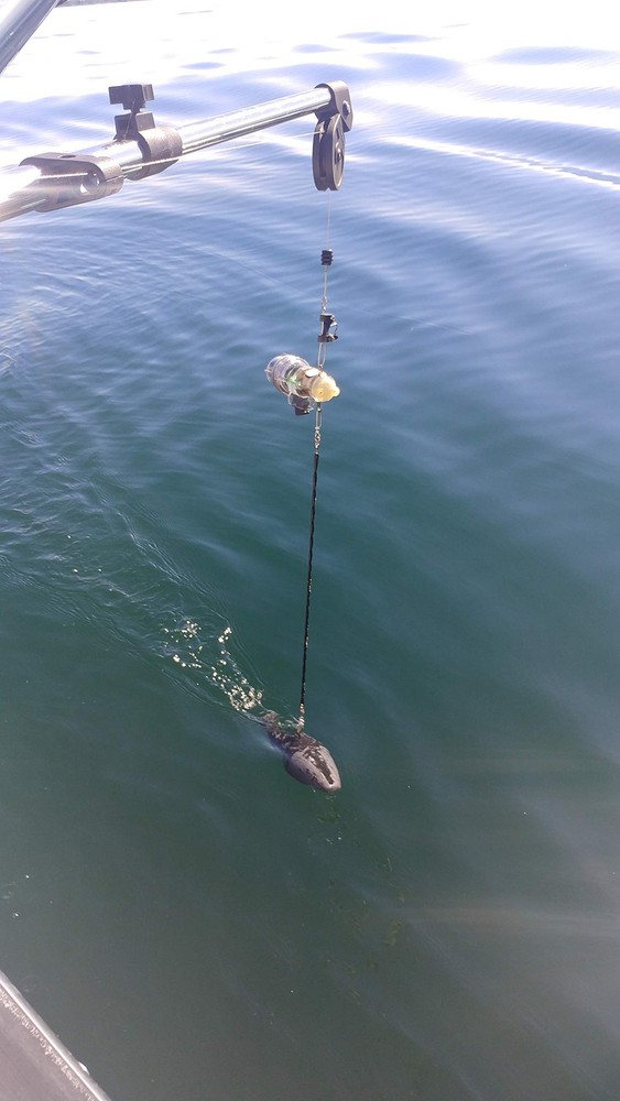 Downrigger Snubber Twin Pack, Black