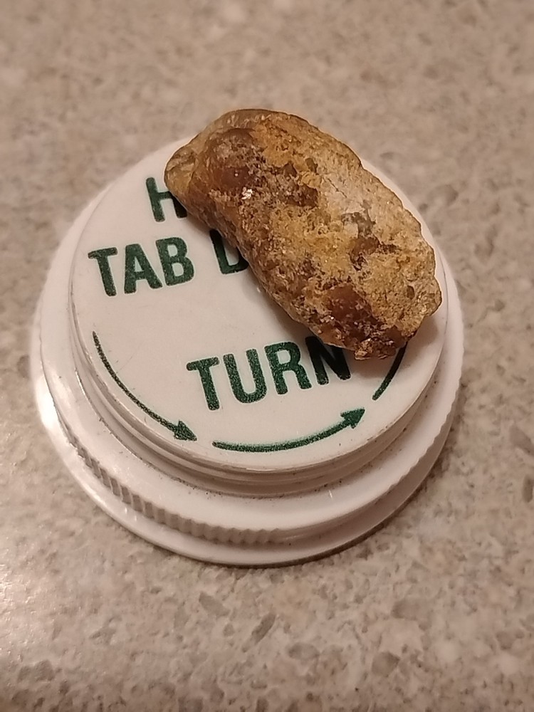 Native Gold Specimen