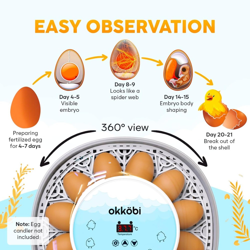 M12 Egg Incubator Automatic Turner Broody Hen Replacement Hatching Machine