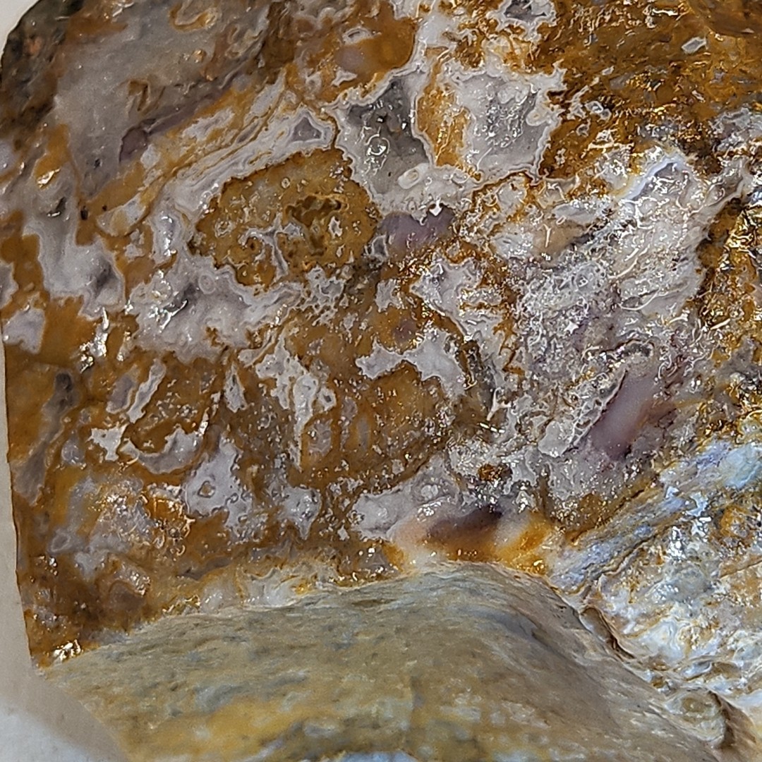 Royal blue agate rough. Spectacular blue colors, sharp banding 2LBS 4.7oz.