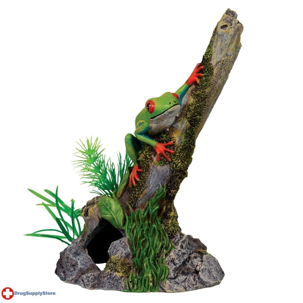 RA Tree Frog on Stump