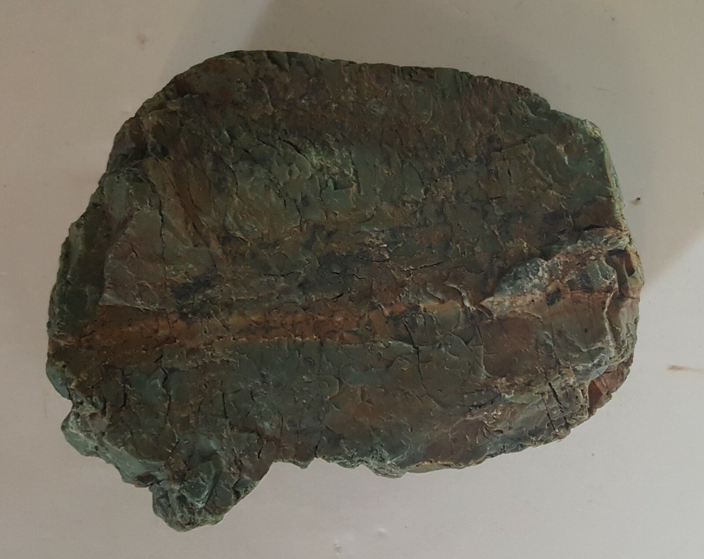Petrified Wood Greenish, Rust, Black