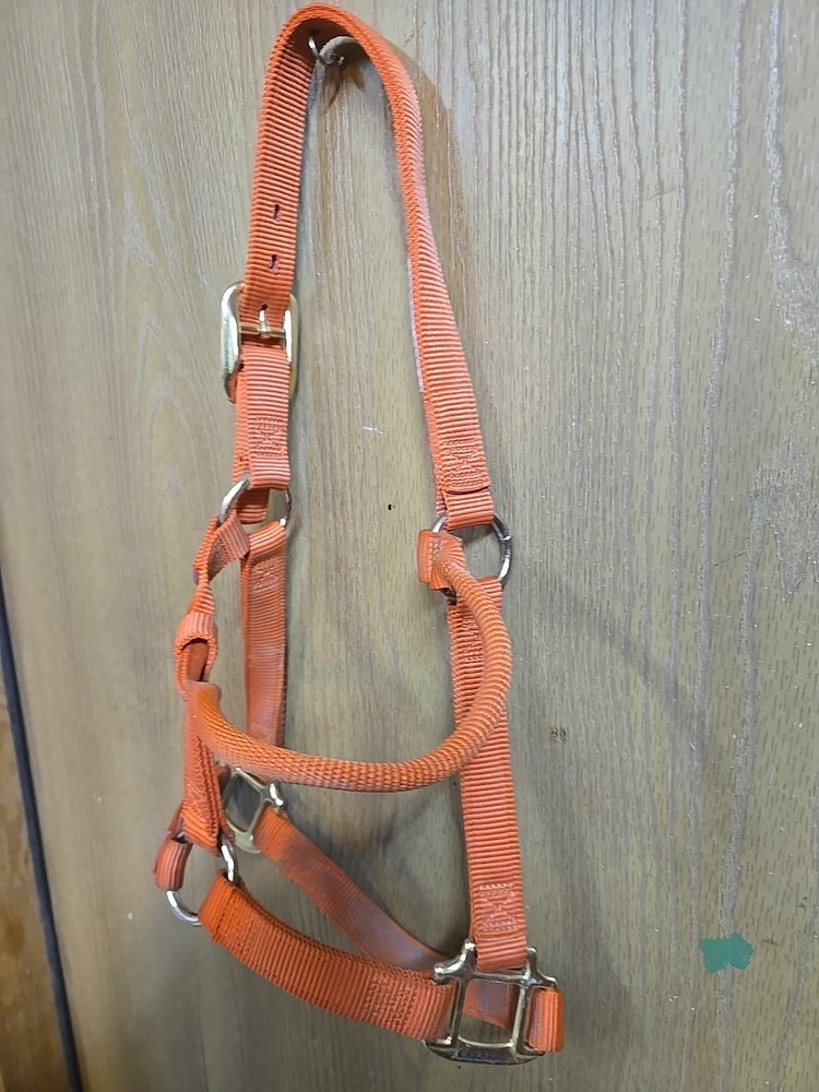Weaver 1" Average Horse Halter; Orange
