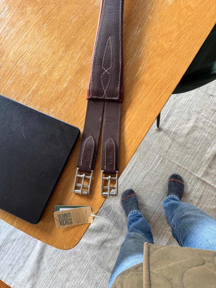 BNWT Devoucoux Allure Hunter Girth - 50" - 125 CM