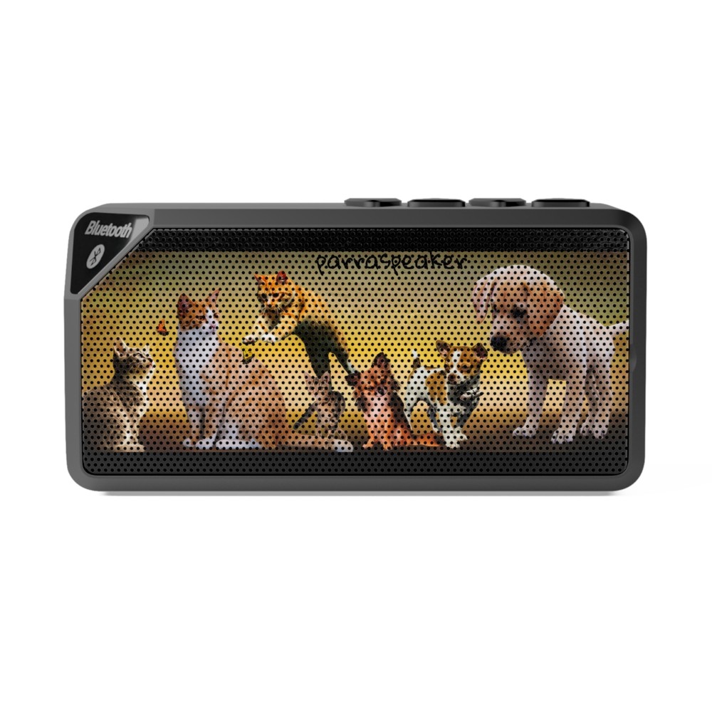 Jabba Bluetooth Speaker