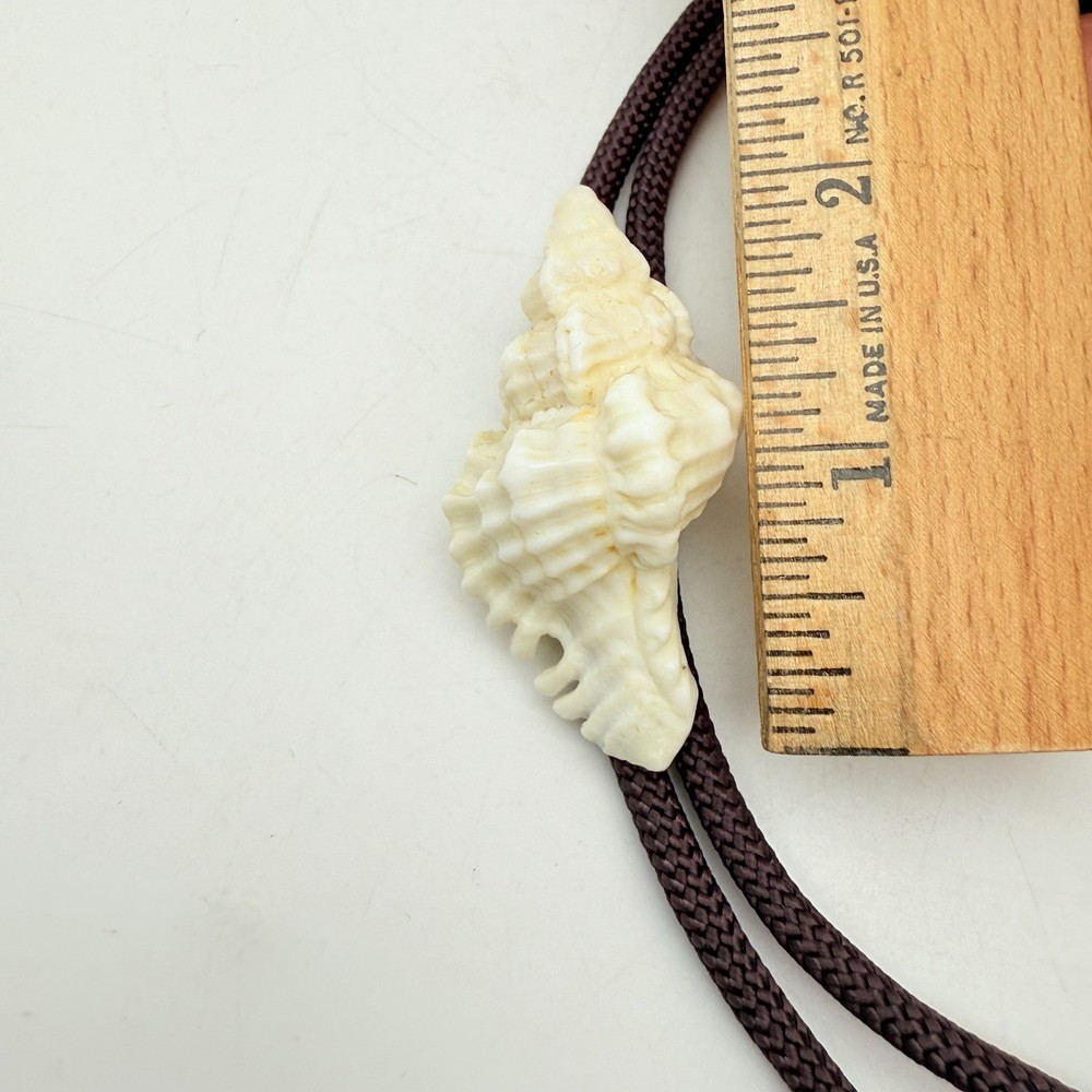 Seashell Brown Rope Bolo Tie with Silvertone Tips