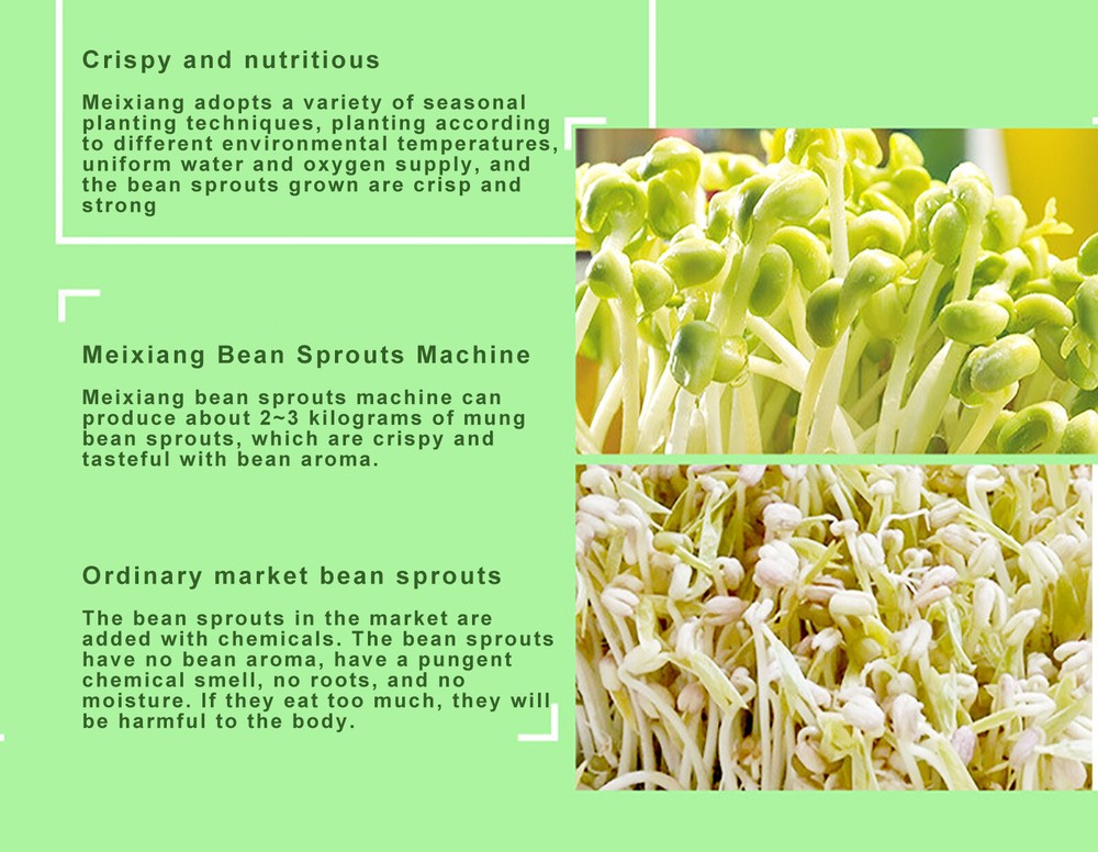2-Layer Bean Sprouts Machine Large Capacity Automatic Bean Sprouter Grow Tool US
