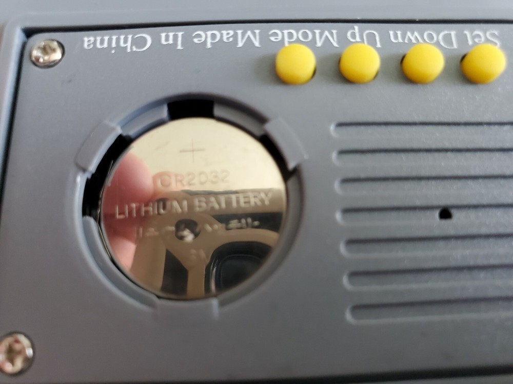 Year 2000 Count Down Clock