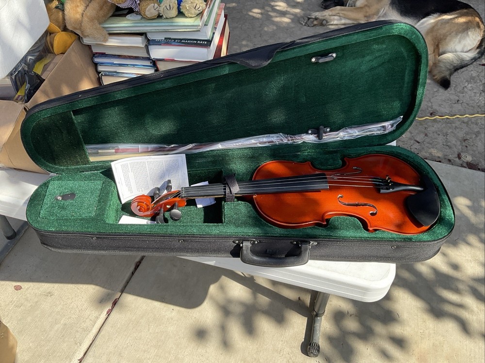 LICO 4/4 VIOLIN VN-01