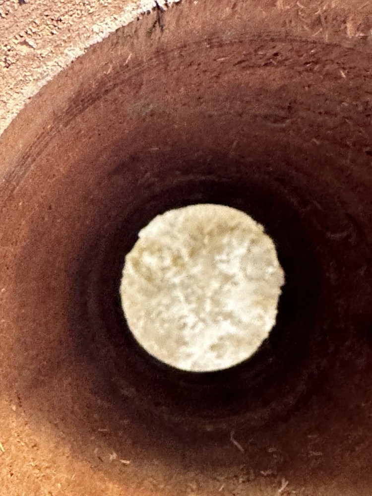 Hard Carved Djembe Drum 11.5” Tall