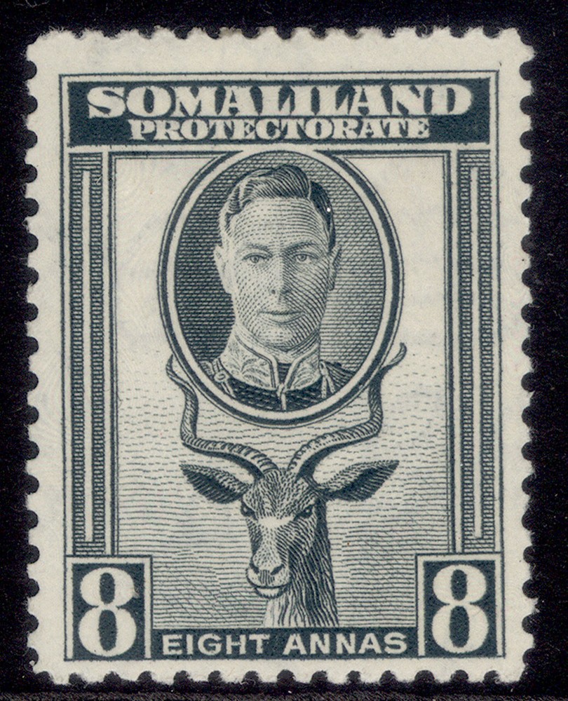 SOMALILAND PROTECTORATE GVI SG99, 8a grey, M MINT.