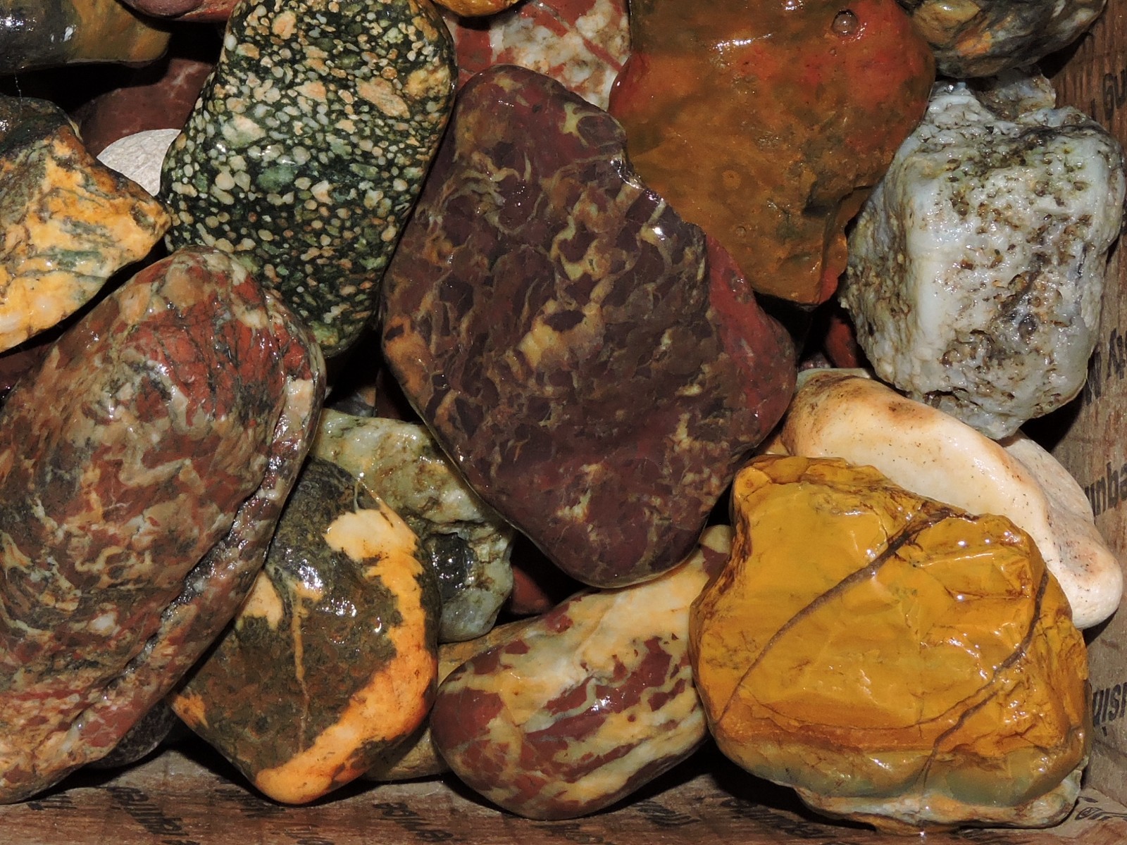Lot of 🌈 Tumbler Size RAINBOW MIXED STONES from PNW (11.5 lbs) WEST COAST ROCKS