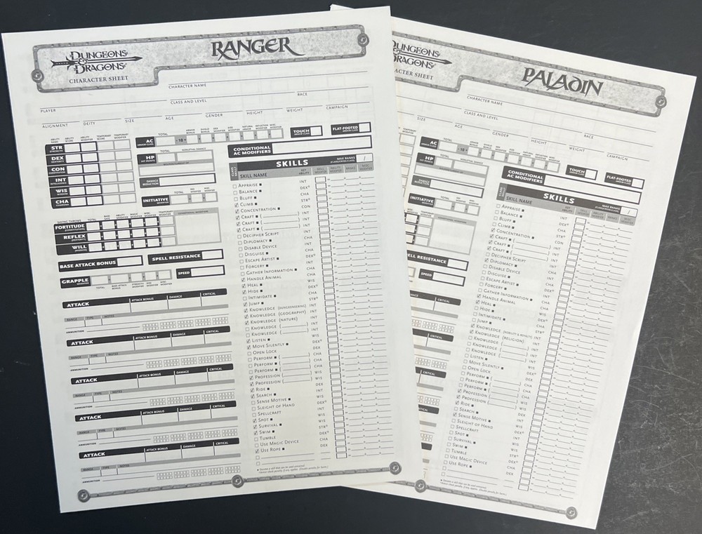 2004 Dungeons And Dragons Folder And Character Sheets. Folder Has Some Flaws