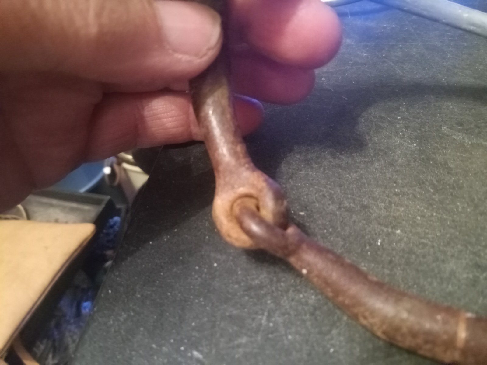 Francois Gauthier sweet iron snaffle mouth 5 in show bit engraved aluminum