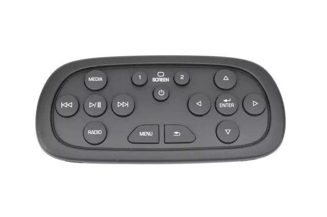 Genuine GM Video Remote Control 84012997