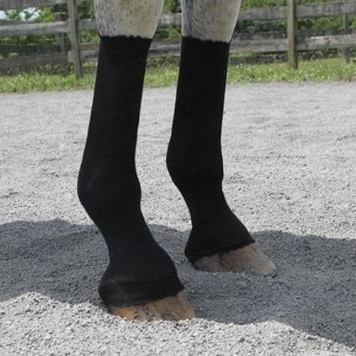 EquiFit HorseSox Individual Pack - Horse