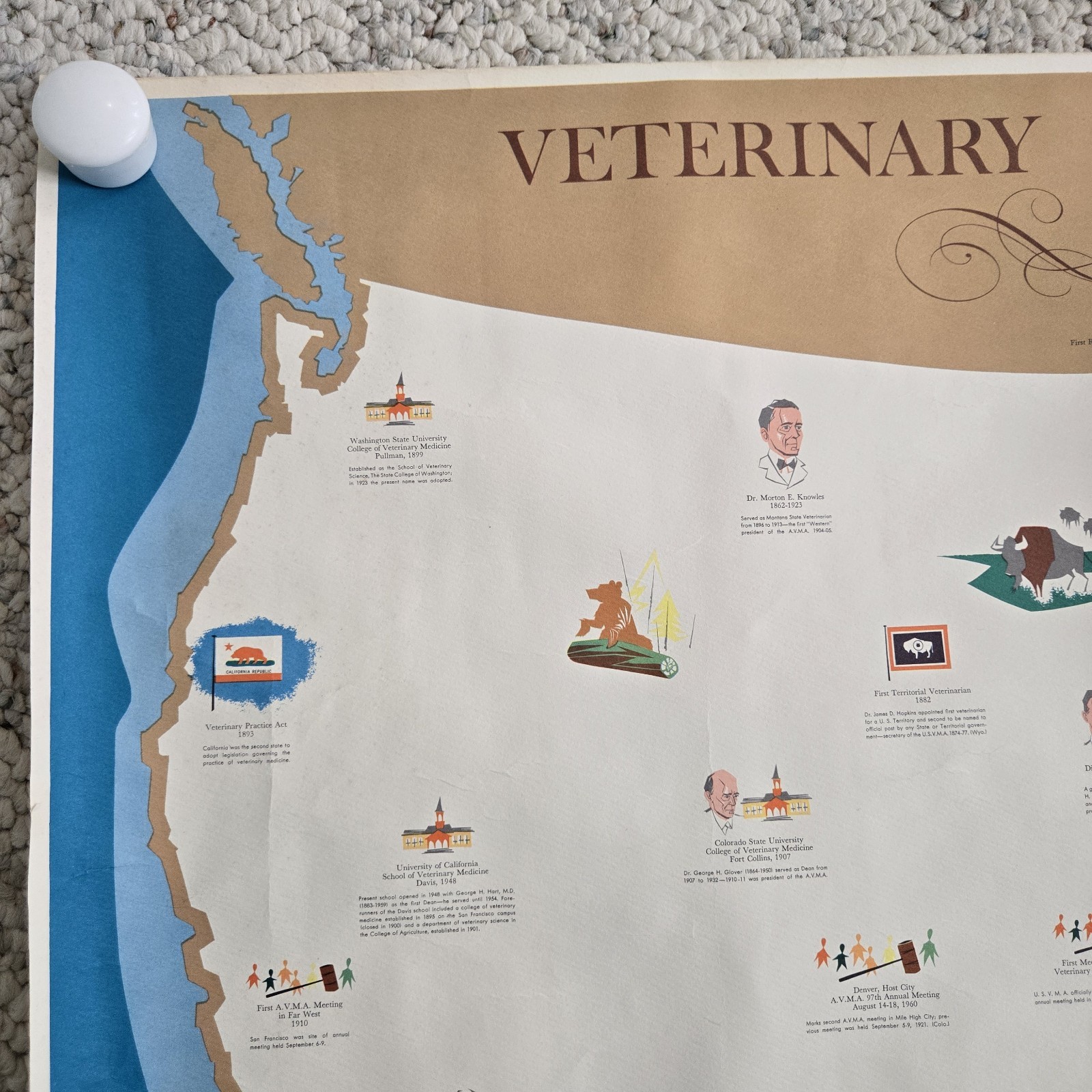 1960 Veterinary Medicine In America Poster History Map Unframed Vtg Vet Wall Art