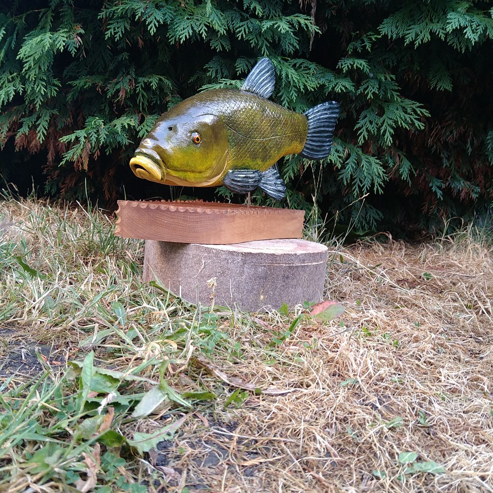 Tench Fishing , fish