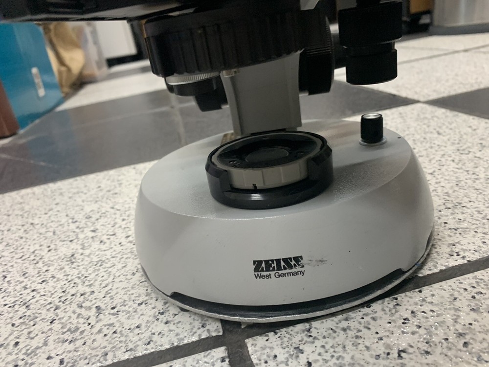 Vintage Carl Zeiss microscope, Standard, binocular