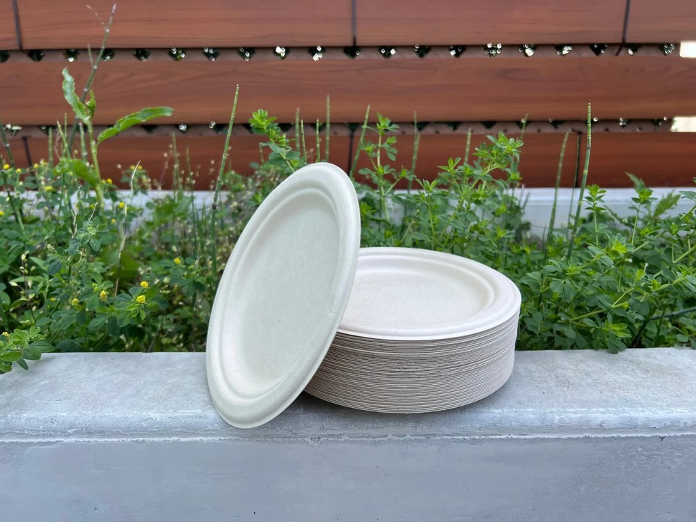 Plates & Cups Set (100 guests)