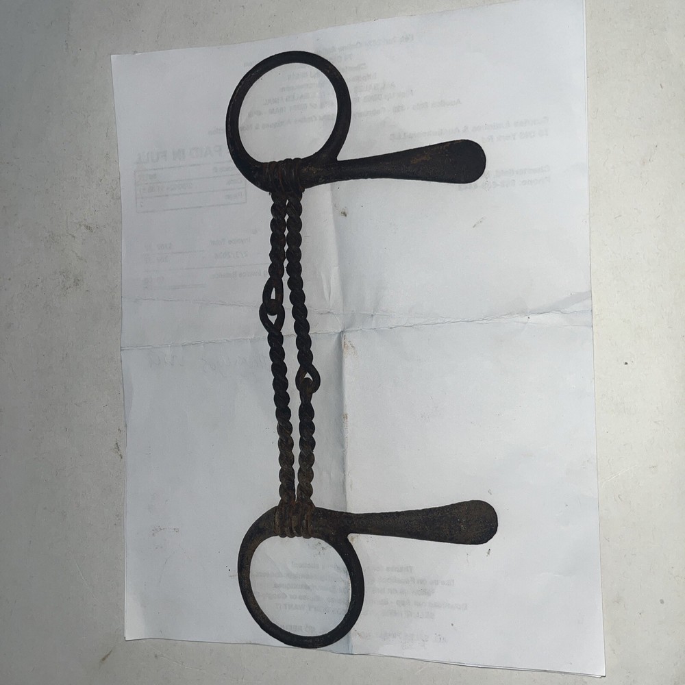 Twisted wire O ring Horse Bit