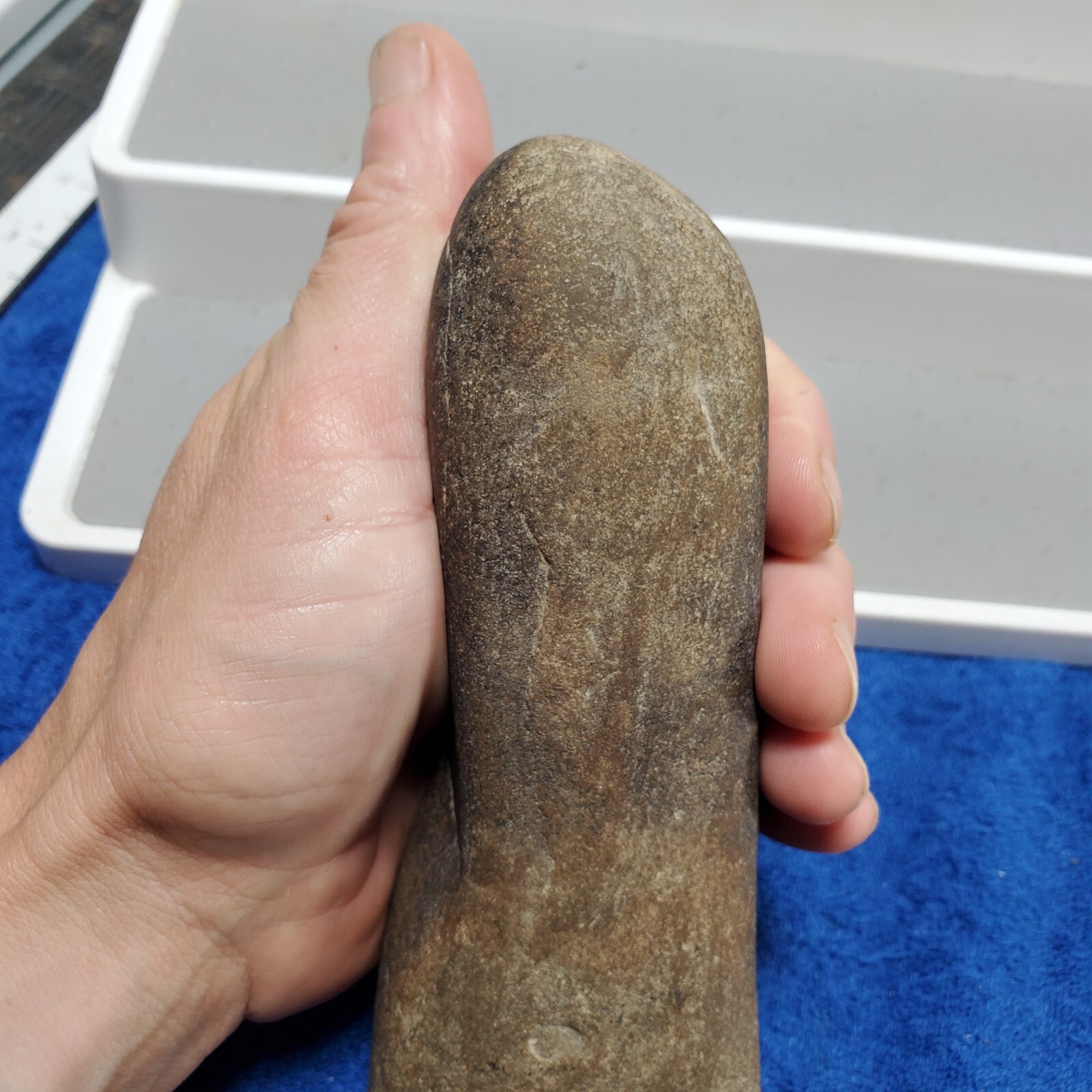 Celt Artifact 7" Indian Hardstone Club Polished Native Stone Tool Pennsylvania?