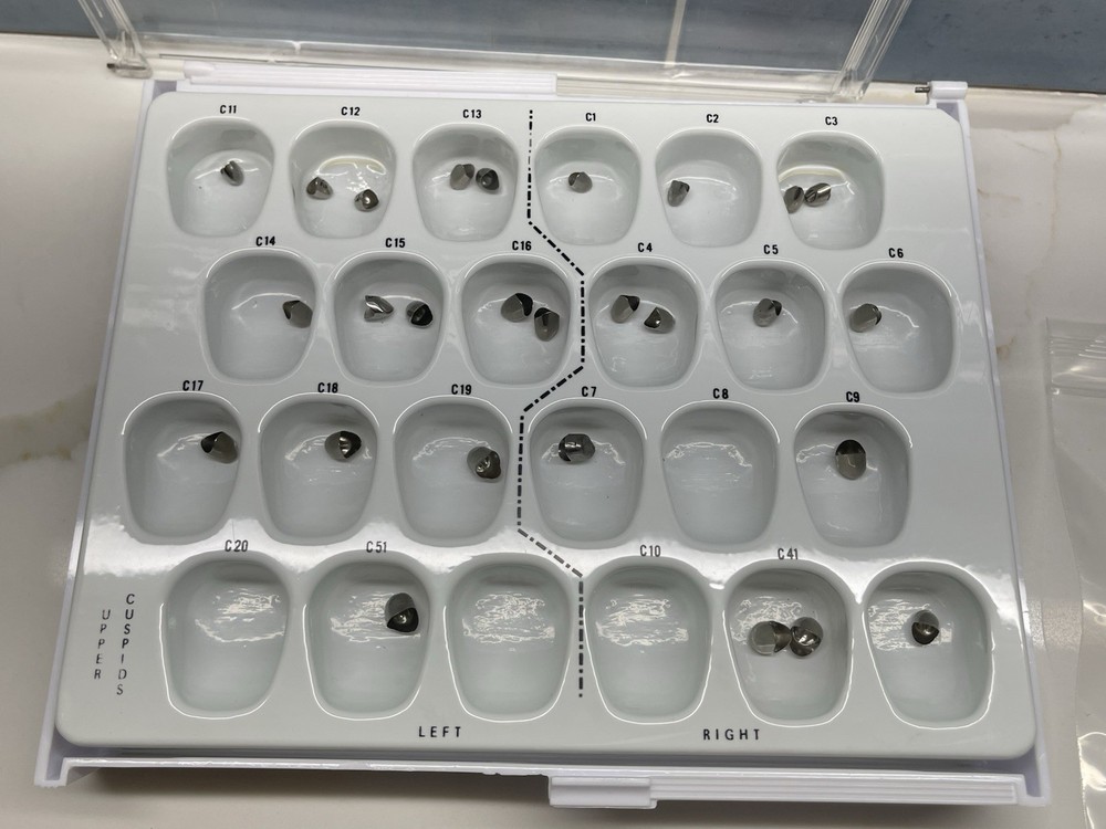 Upper Cuspid Crowns by Rugby Labs plus Extras 🦷