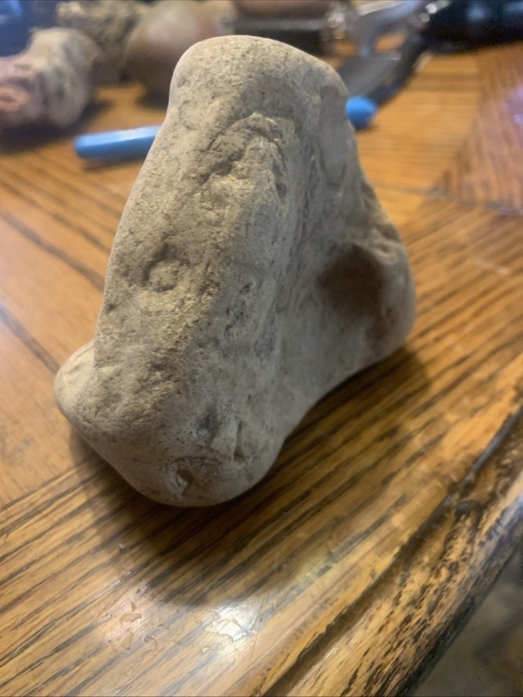 Fossils