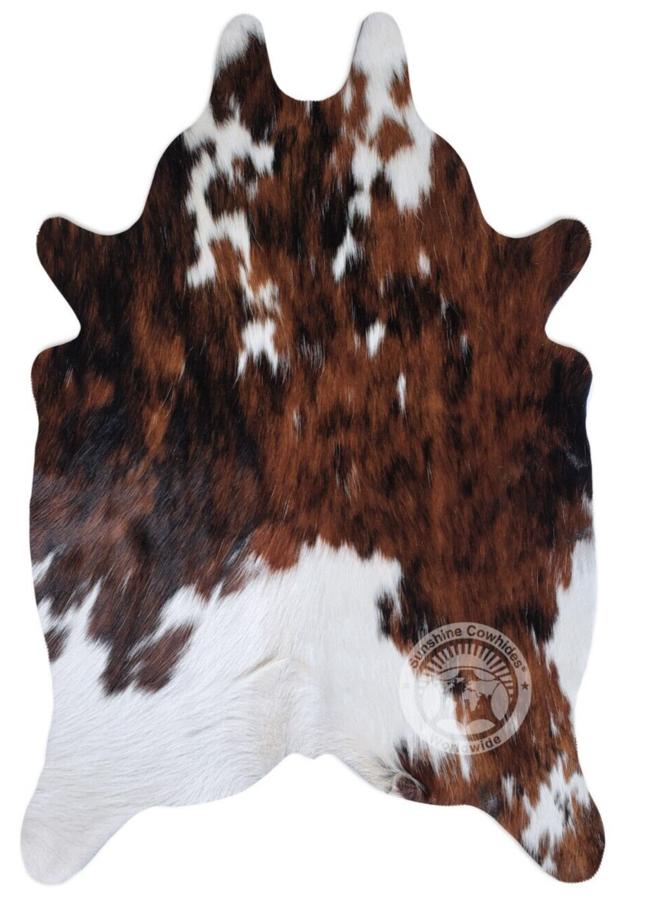 Real Small Cowhide Rug Tricolor - Size 24"x35"
