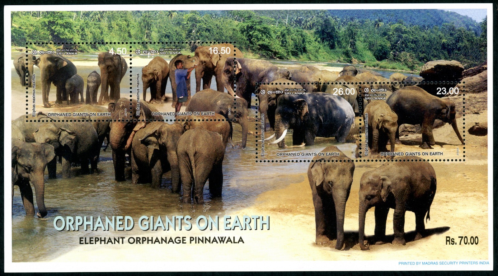 Sri Lanka Stamp Mini Sheet Orphaned Giants Elephant Orphanage Pinnawala MNH