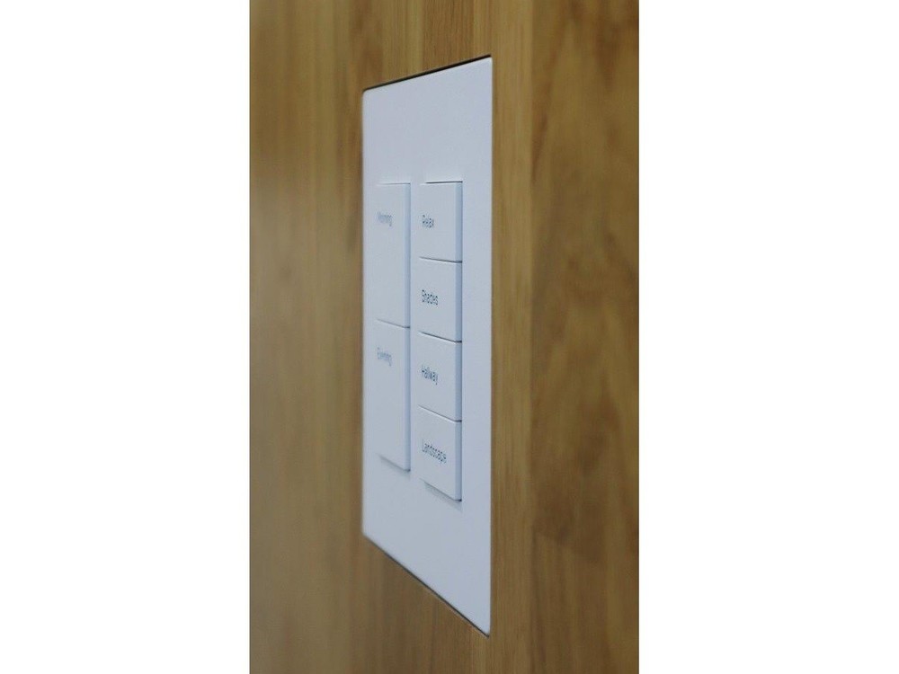 028-1-907 Solid Surface Mount for Savant Ascend WFB-2Gang