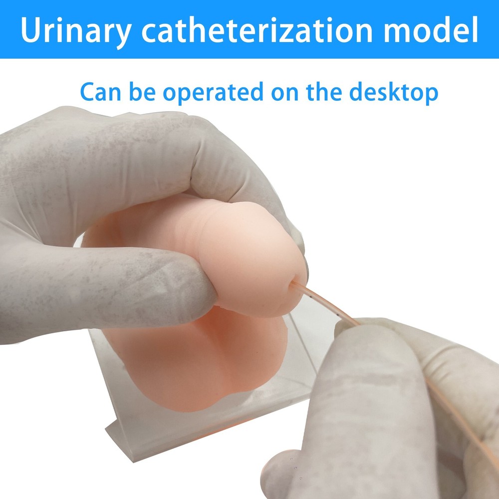 Urinary Catheterization Puncture Model Medical Operation Training Reusable Wide