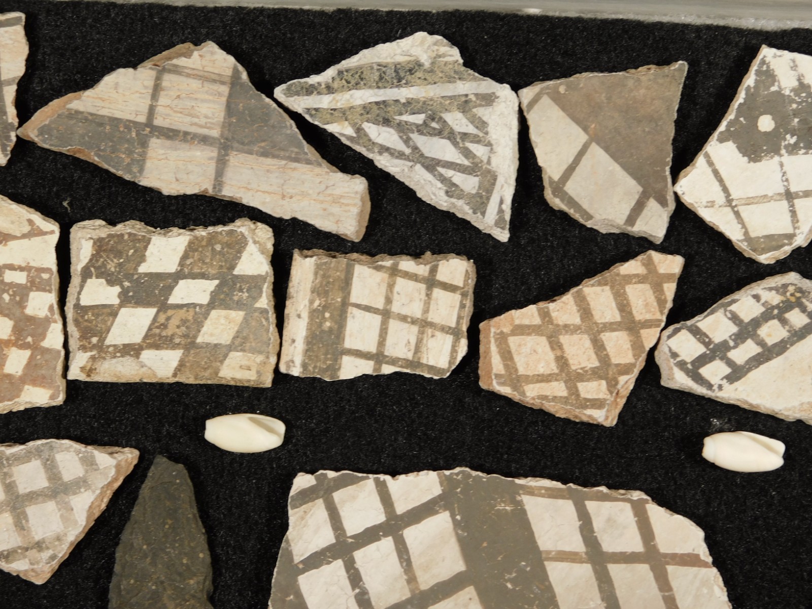 Big Lot! of ANASAZI Pottery Shards or Sherds in Wall Mountable Frame Arizona