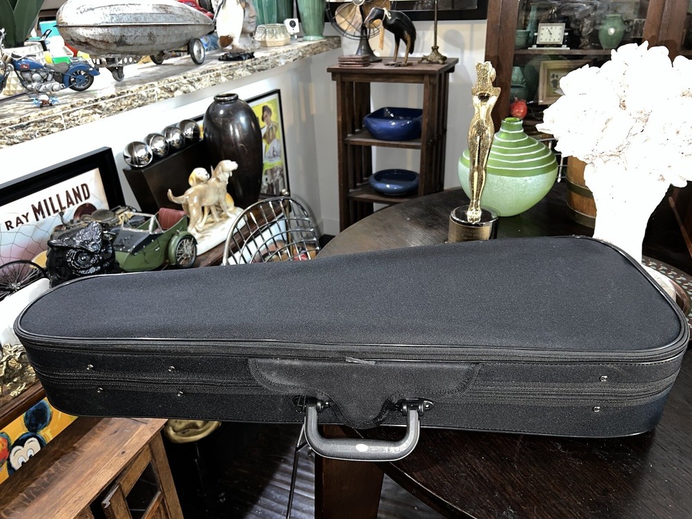 Aileen CSV102 Basic Lightweight Suspension Violin Black Zip Hard Case backpack