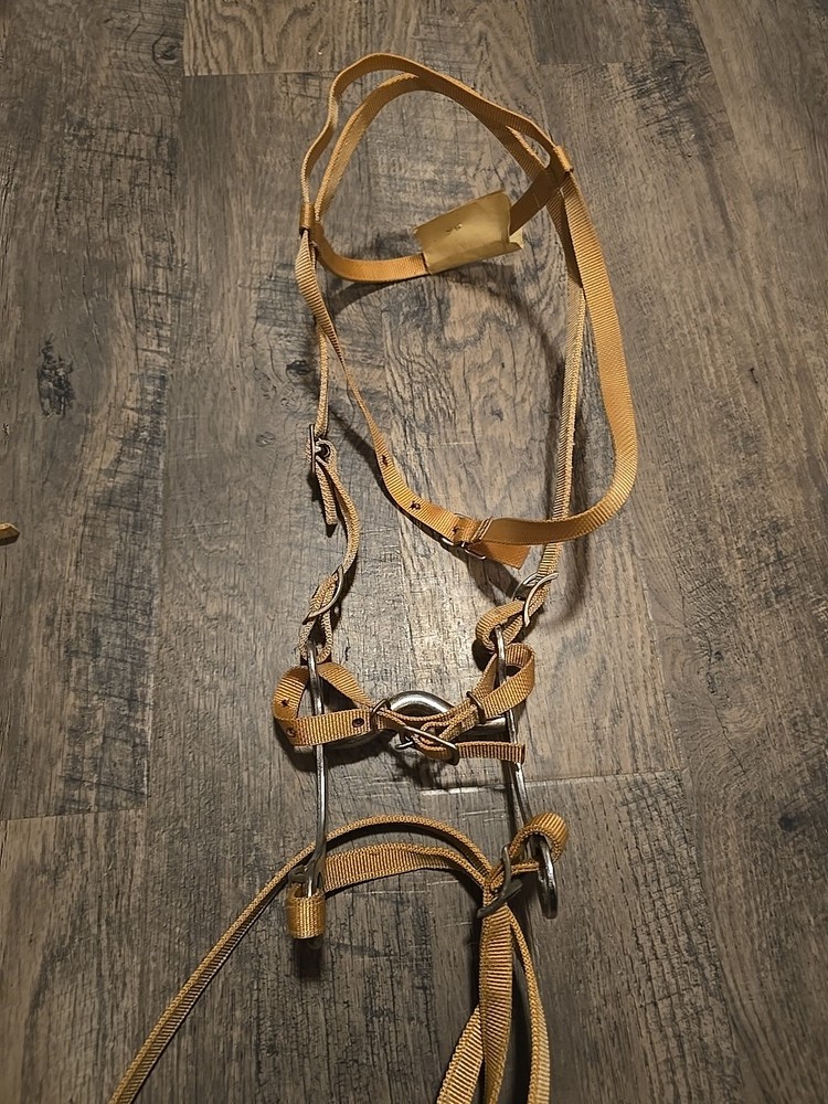 western bridle