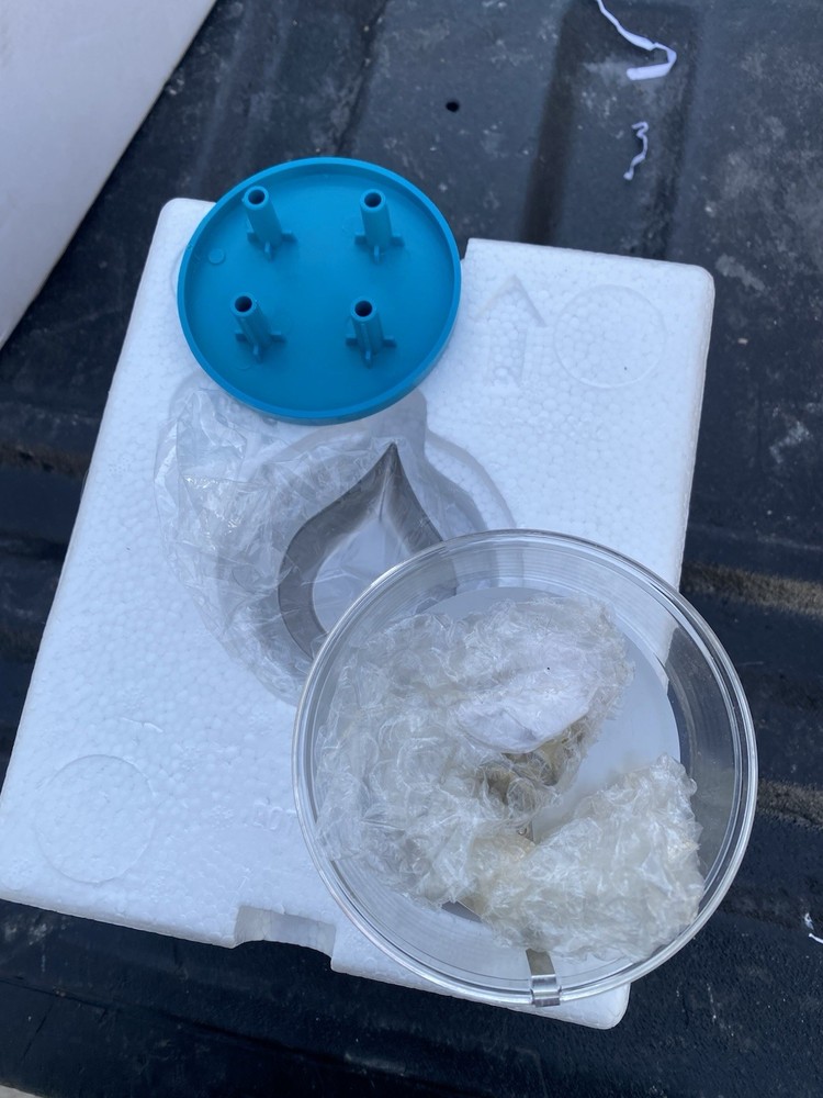 Dillon D-Terminator Electronic Scale V2.0