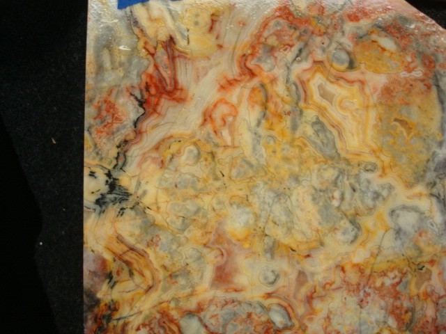 australlian crazy lace 2 slabs
