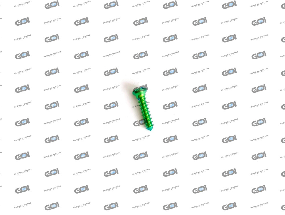 CMF Maxillofacial Cross Drive Mini Screws Assorted 100 Pcs Titanium Grade V