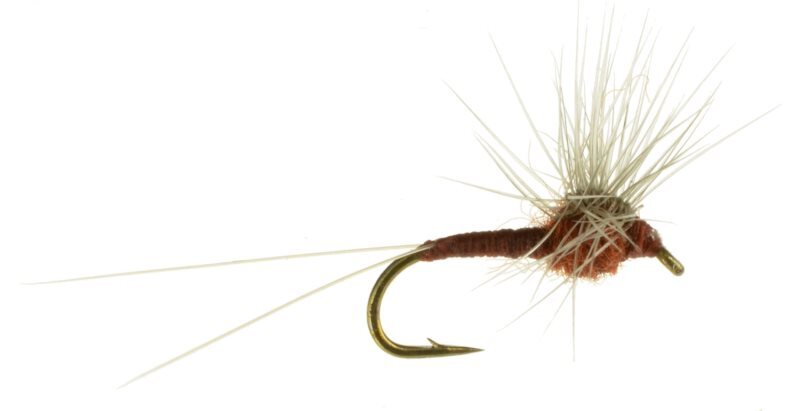 Hackle Stacker - Fly Fishing Flies (1 pc)