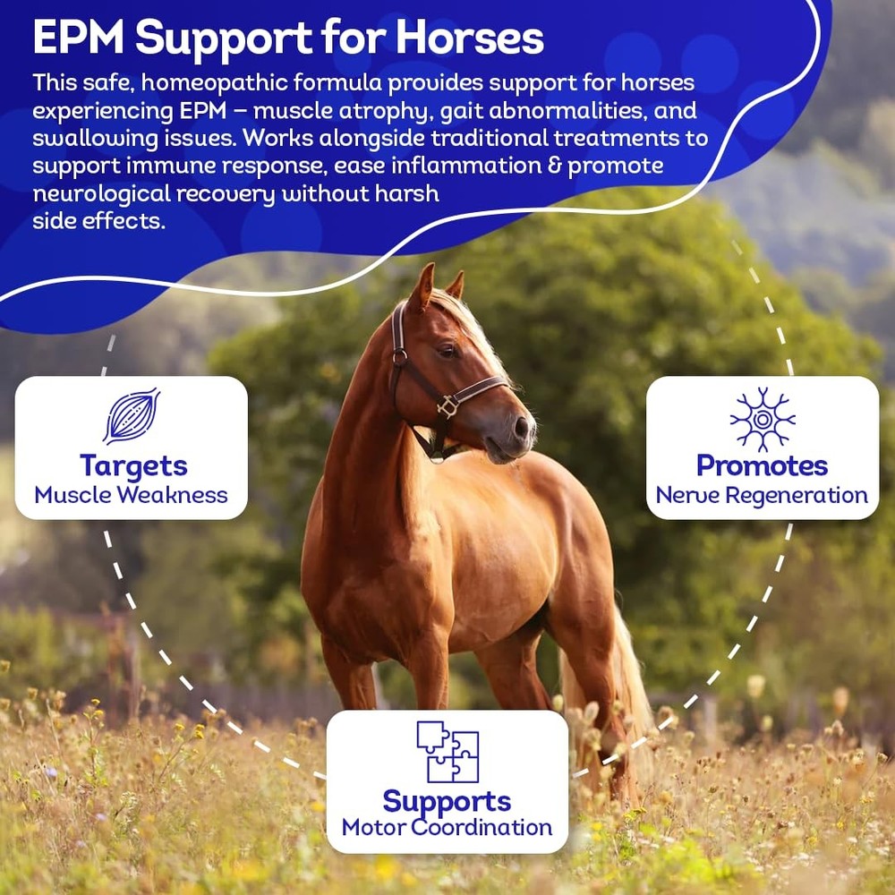 HA4E - Equine Protozoal Myeloencephalitis (EPM) Support - Reduces Weakness, A...