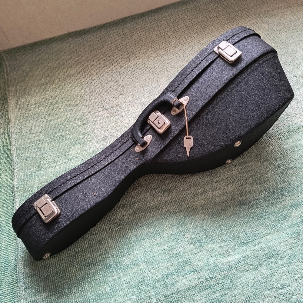 Mandolin M-30
