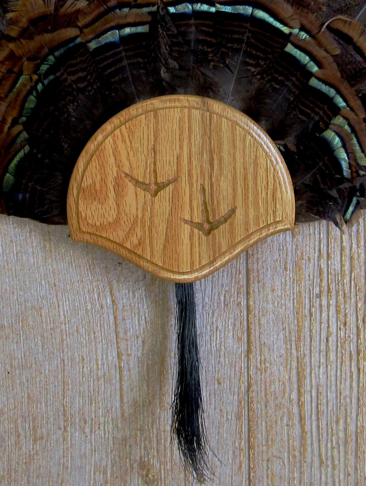 Solid Medium Oak Turkey Fan / Beard Mounting Kit -01 with Carved Tracks