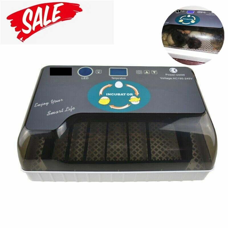 Incubator Automatic Digital Hatching 12 Eggs Mini Machine For Quail Chick Bird