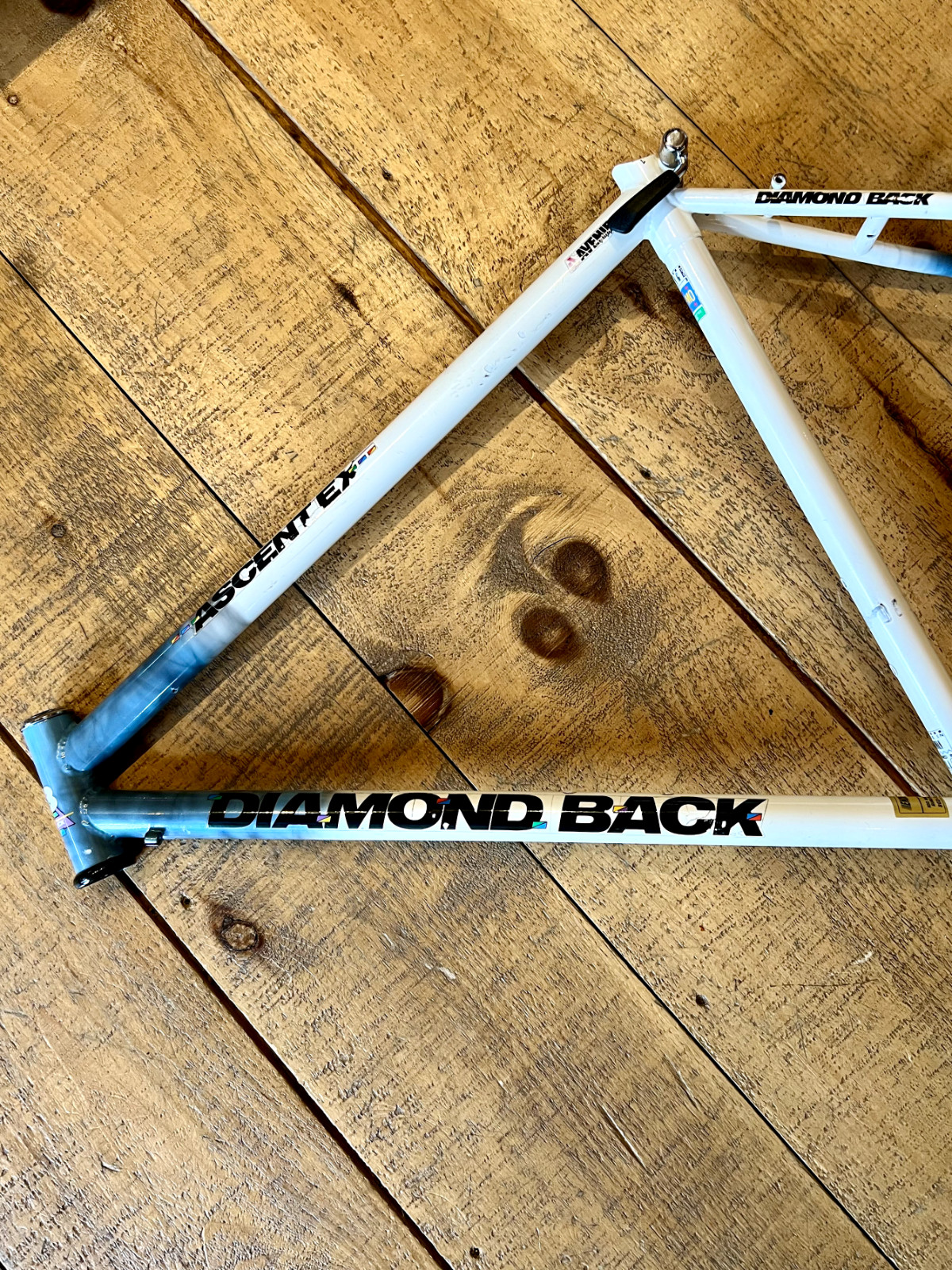Vintage 90s Diamondback Ascent EX 19.5" Steel Mountain Bike Frame White Blue Mix