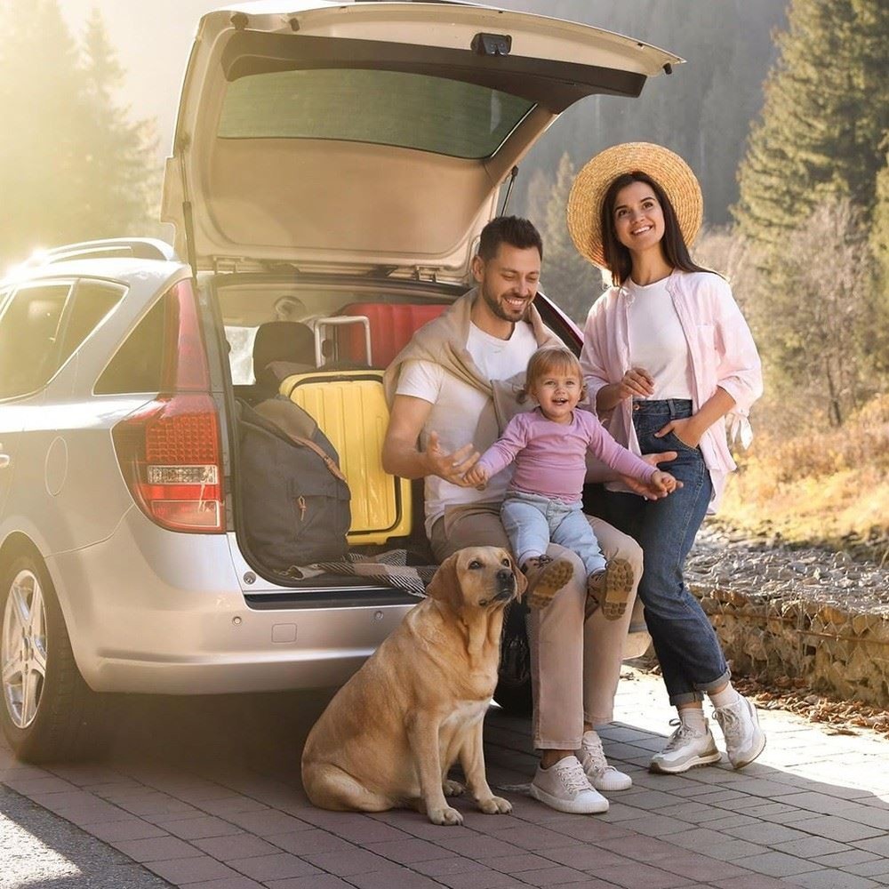 Car Rear Bumper Protector Universal Flexible Bumper Guard Protector