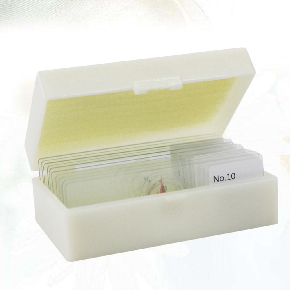 10 PCS/Set Microscope Specimens Slide Biology Sample Slides Glass Prepared