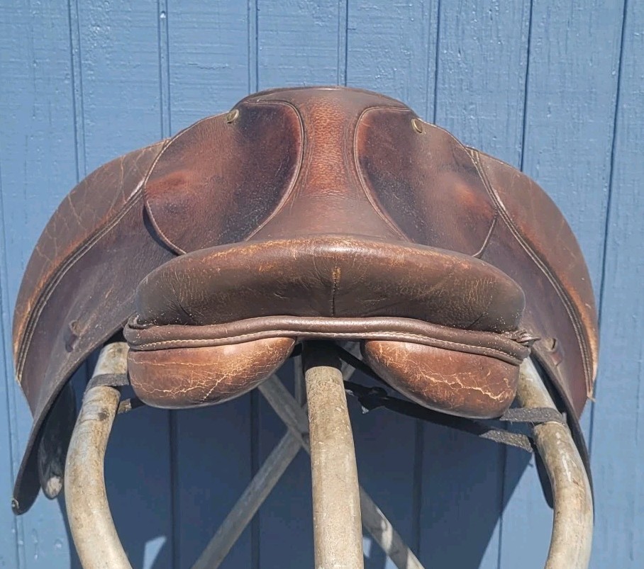 Collegiate A/P 16" Saddle