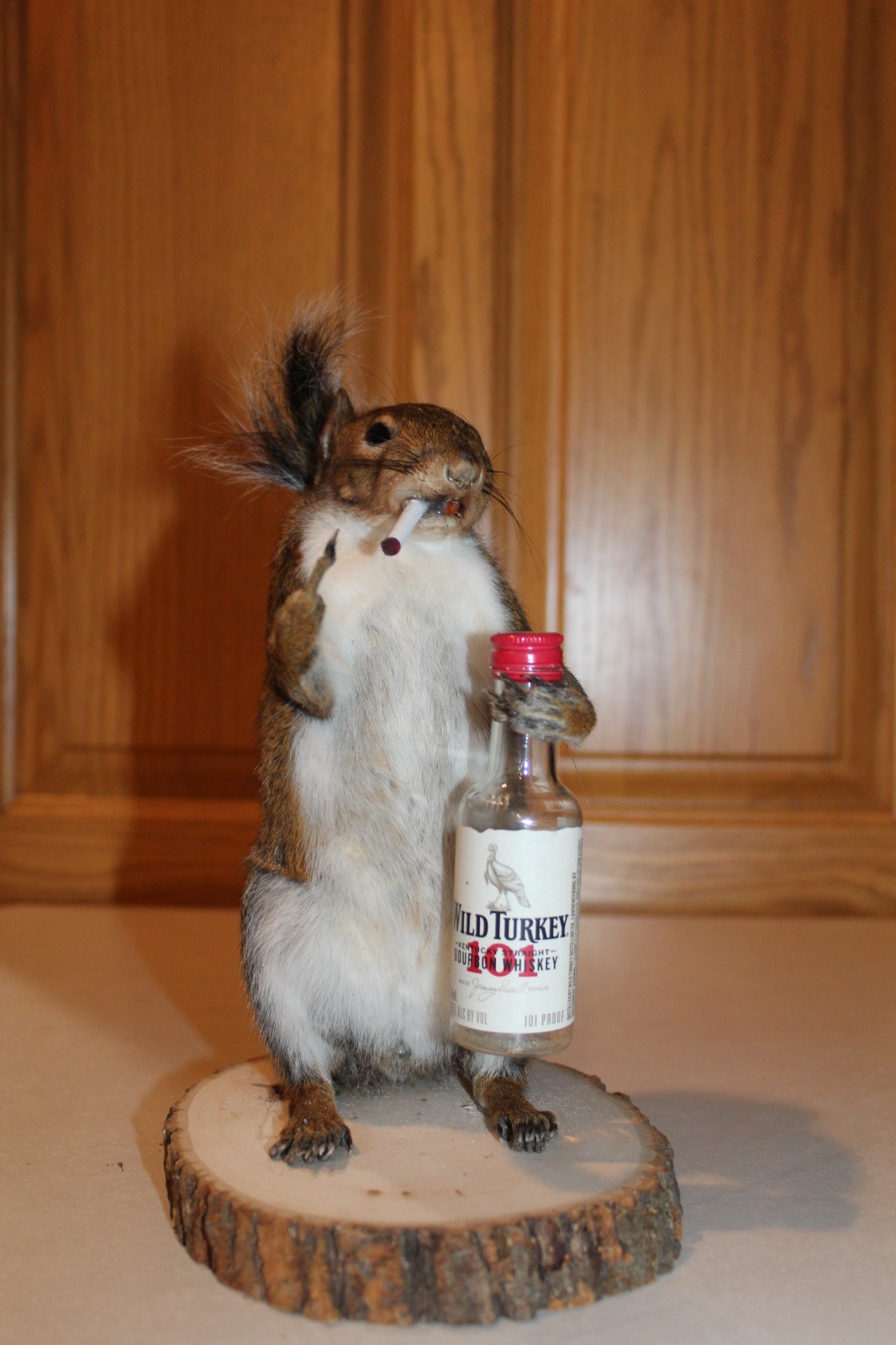 Taxidermy Naughty Squirrel Mount Novelty Present Whitetail Deer Log Cabin Decor