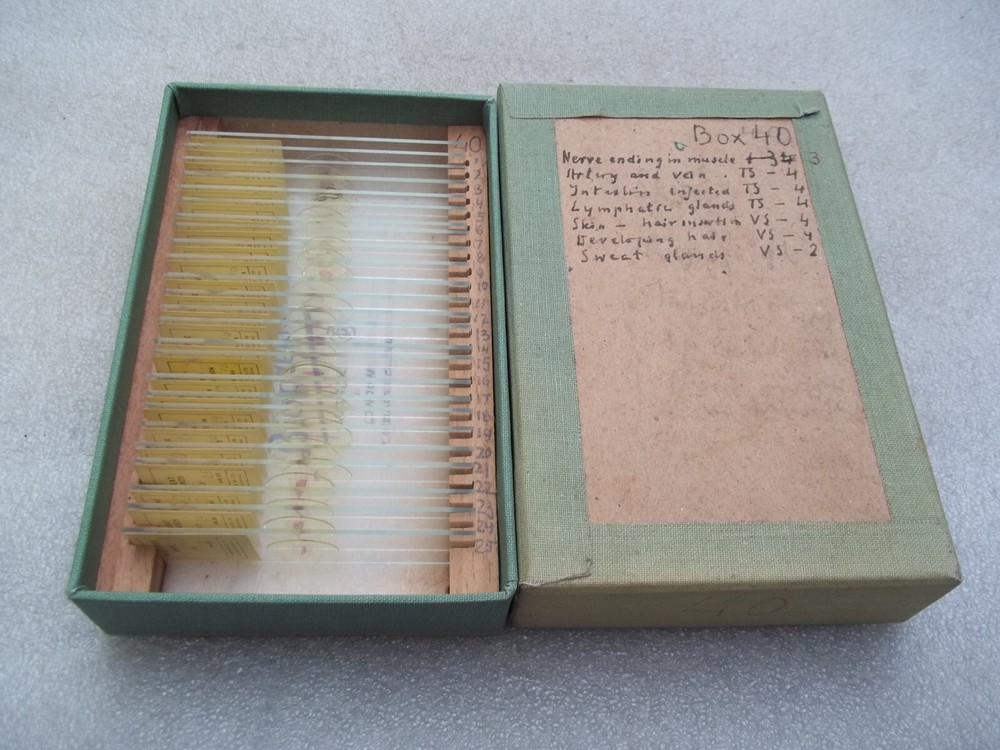 Vintage Glass Microscope Slides -